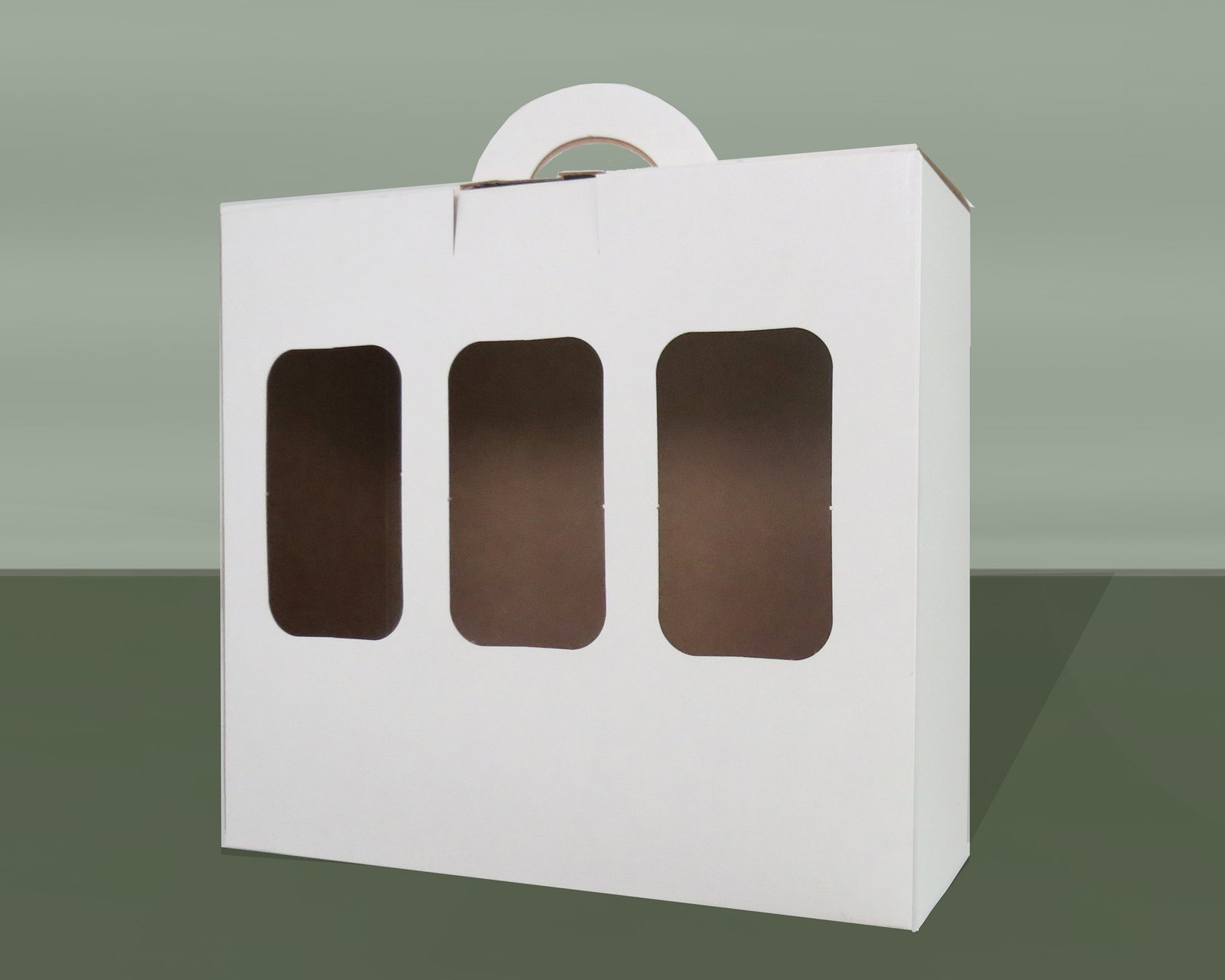 Diseño-caja-carton