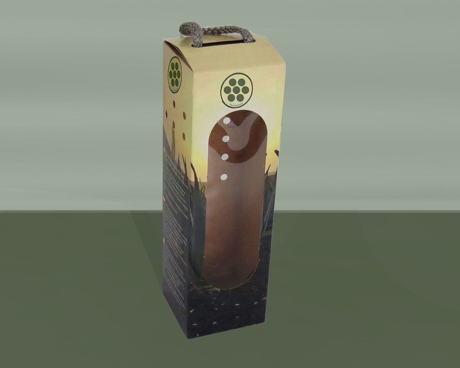 Diseño-caja-carton
