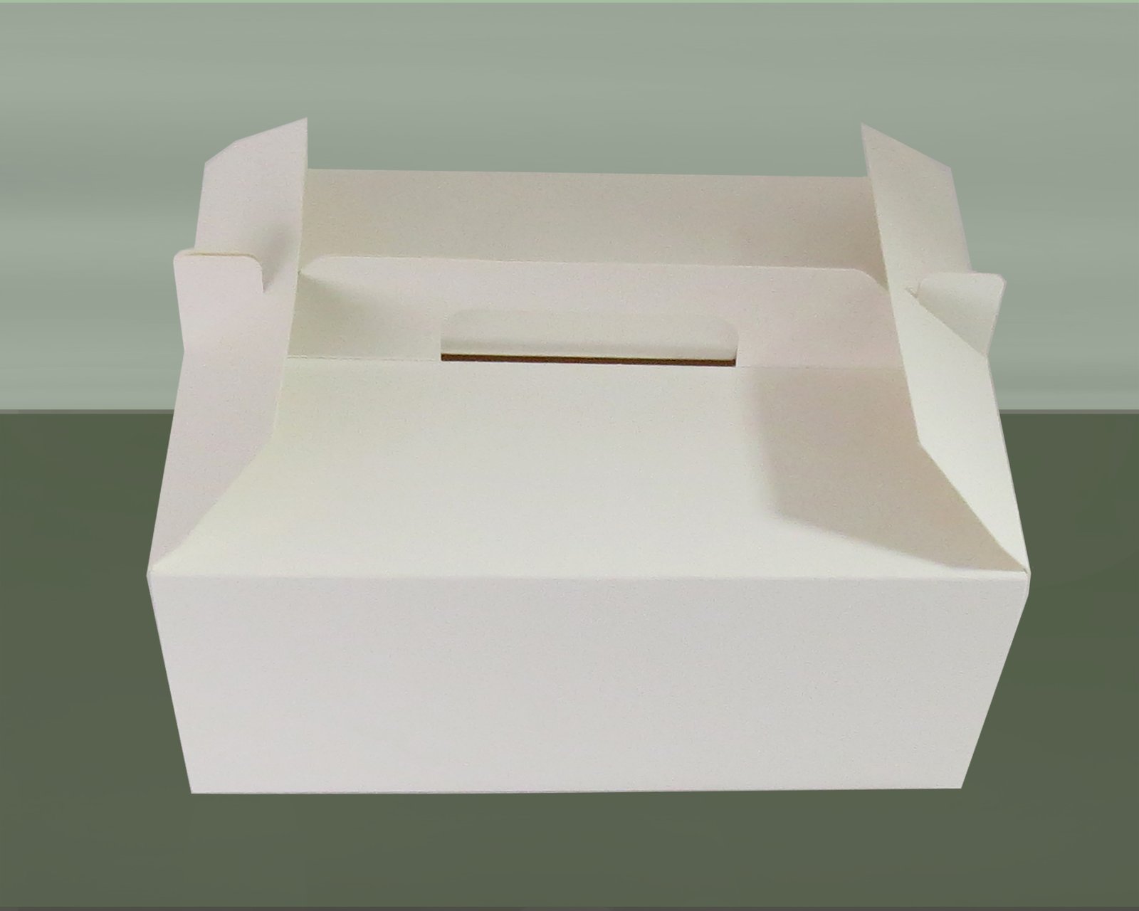 Diseño-caja-carton