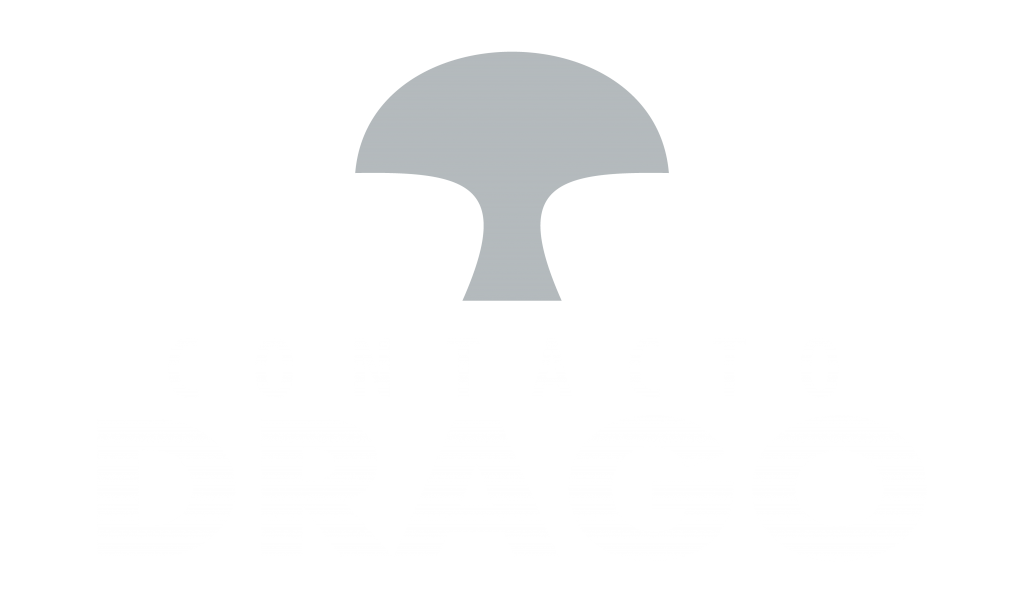 E drago 7 - LITOGRAFÍA DRAGO