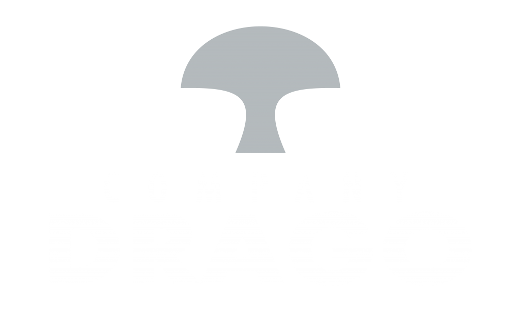 I drago 1 - LITOGRAFÍA DRAGO
