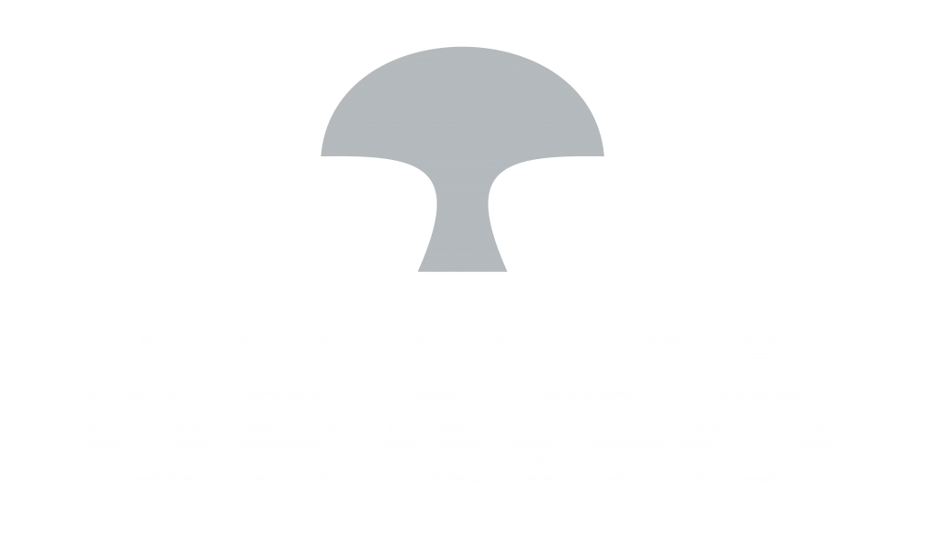 I drago 3 - LITOGRAFÍA DRAGO