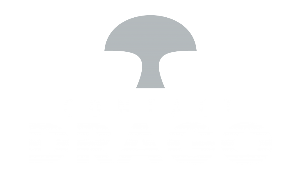 I drago 7 - LITOGRAFÍA DRAGO